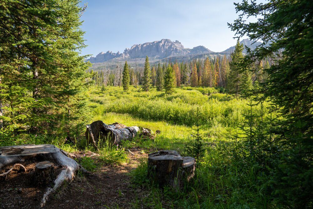 11. Shoshone National Forest